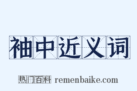 袖中近义词是什么意思的图片